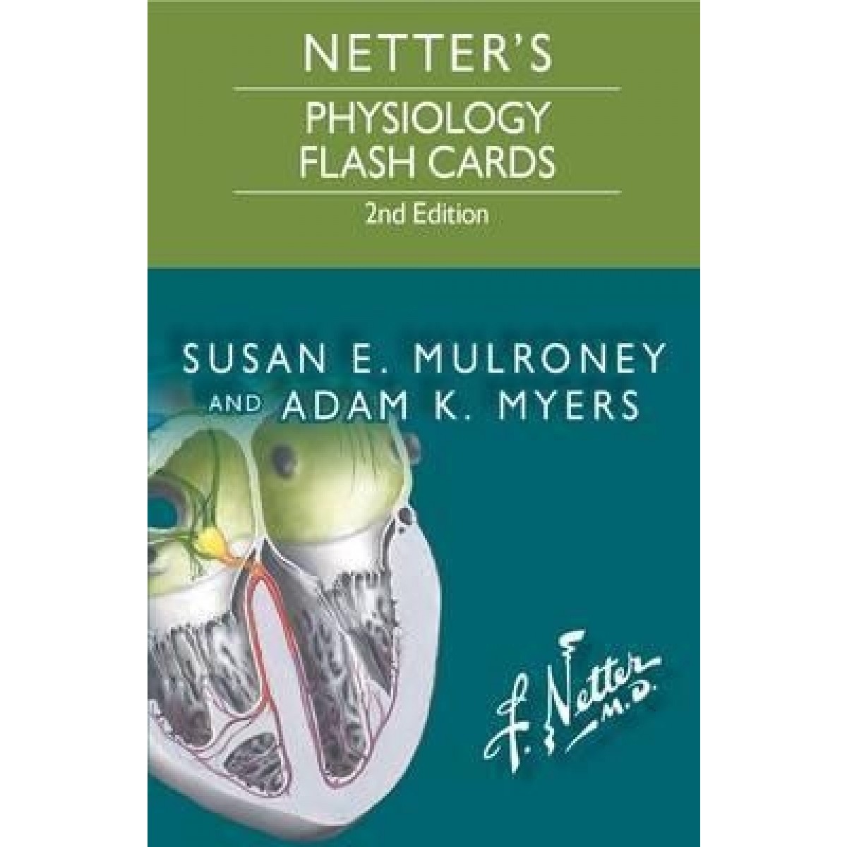 Saunders Veterinary Anatomy Flash Cards 1e Anatomy Fl vrogue.co
