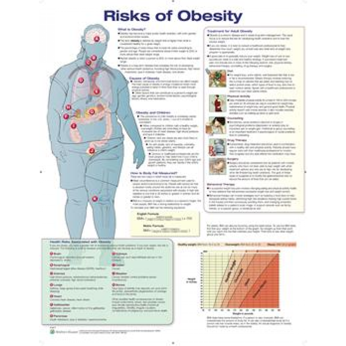 anatomical-chart-company-risks-of-obesity-school-locker