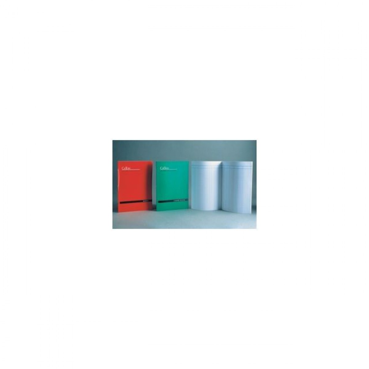 Account Book Collins A24 Series Ledger (2 Column) School Locker