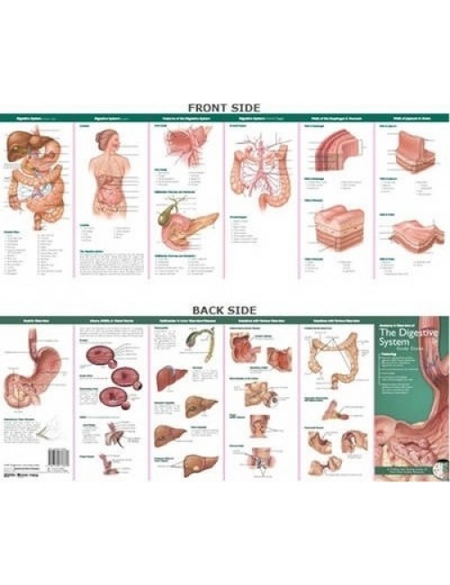 Anatomical Chart Company Anatomical Chart Company's Illustrated Pocket