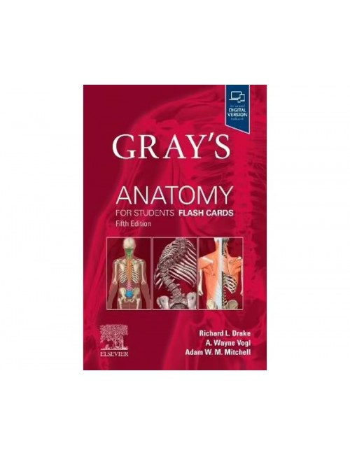 【現品限り一斉値下げ！】 Elsevier School - 5E Cards Flash Students for Anatomy Gray's カードダスその他