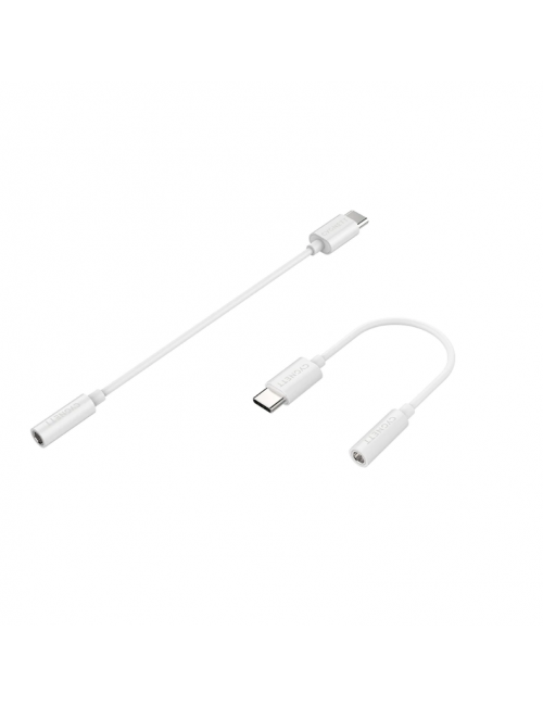 3.5mm (F) to USBC (M) Audio Adapter School Locker