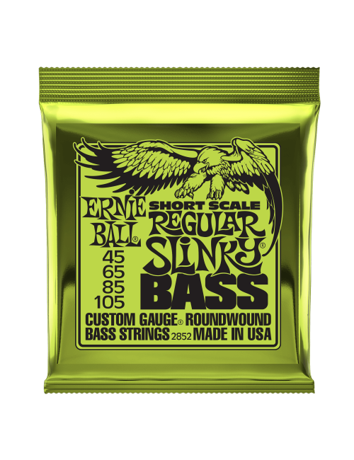 Ernie Ball Regular Slinky Short Scale Bass Strings School Locker