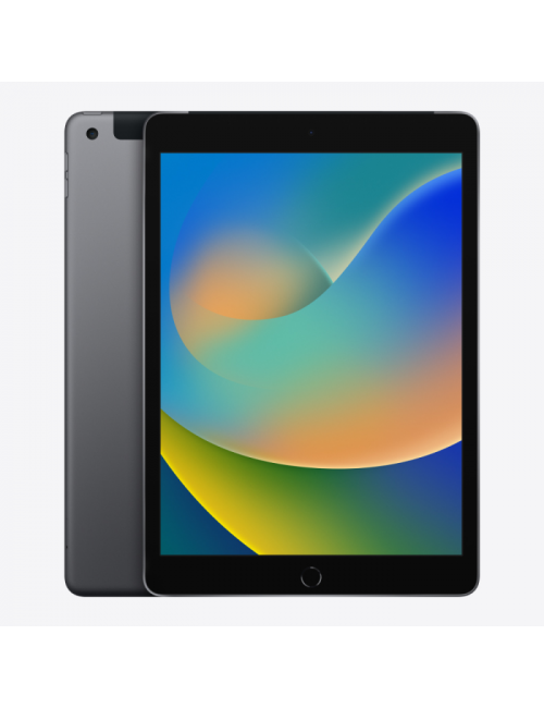 Apple IPAD (9th Generation) 10.2-Inch WI-FI 256GB Space Grey - School Locker