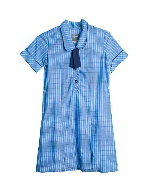Green and white online check school dress