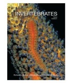 RENTAL 1YR Invertebrates 3E - EBOOK