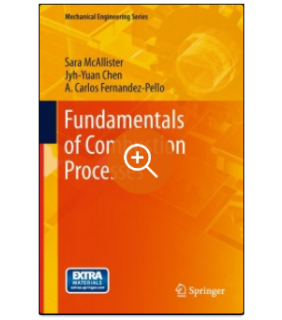 Springer ebook Fundamentals of Combustion Processes