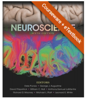Sinauer Associates ebook 1YR RENTAL Neuroscience