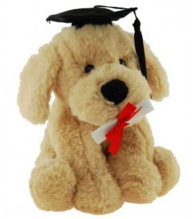 Buddy The Graduation Dog (18cm)