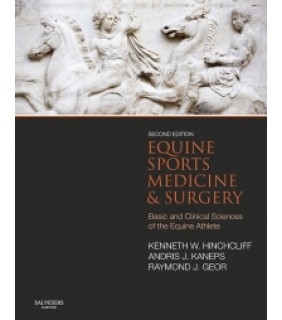 Saunders ebook Equine Sports Medicine and Surgery