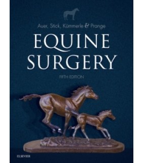 Saunders ebook Equine Surgery