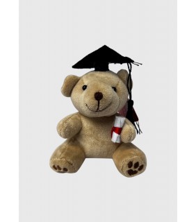 Tiny Graduation Bear (10cm)