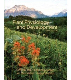 Sinauer Associates ebook RENTAL 180 DAYS Plant Physiology & Development