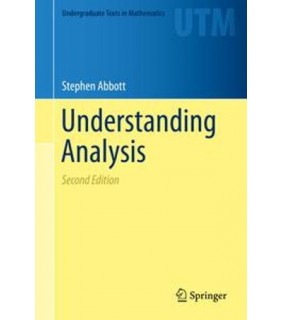 Springer ebook Understanding Analysis