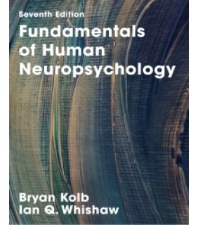 Macmillan Learning UK ebook Fundamentals of Human Neuropsychology
