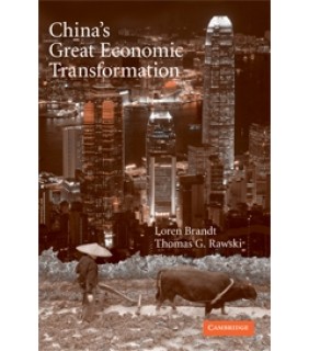 China's Great Economic Transformation
