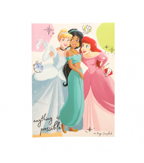 Hunter Leisure PRINCESSES 64P SCRAP BK FSCMIX