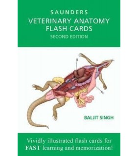 Elsevier Veterinary Anatomy Flash Cards 2E