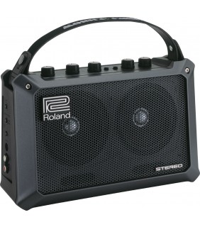 Roland MOBILE CUBE Battery Stereo Amplifier