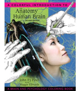 Pearson Education Australia A Colorful Introduction to the Anatomy of the Human Brain: A