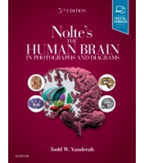 Elsevier Australia Nolte's The Human Brain in Photographs and Diagrams