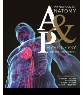 Principles of anatomy and physiology - eBook