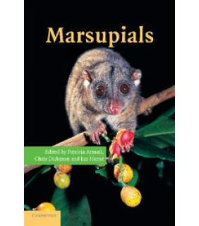 Cambridge University Press Marsupials