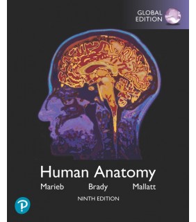 A&S Academic Science Human Anatomy, Global Edition