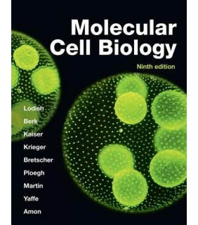 Molecular Cell Biology, 9e (IE)