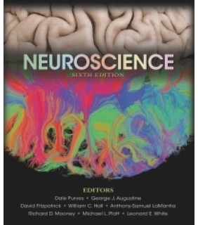 Neuroscience  - eBook 1 Year Rental