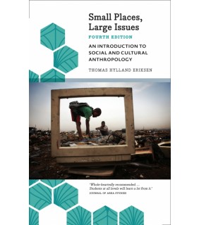 Pluto Press ebook Small Places, Large Issues 4E