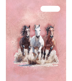 Spencil Scrapbook Cover - Wild Horses