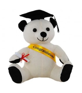 Graduation Signature Bear (20cm)