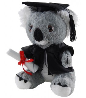 Graduation Koala (18cm)