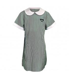 Dress Summer