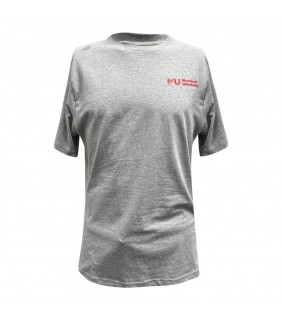 Grey Ladies Tshirt