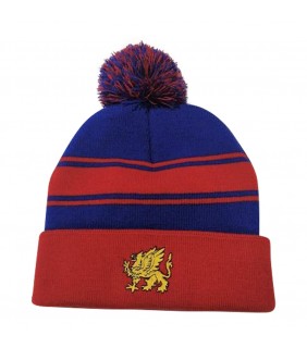 Beanie Supporters