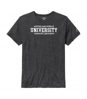 Victory Falls Tee - Varsity Slate