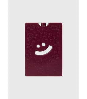 The Somewhere Co Ice Brick Large - Burgundy