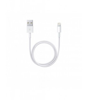 Apple Lightning To Usb Cable 1m