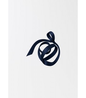 Navy Ribbon