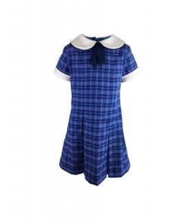 Blue Dress Check 