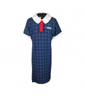 Primary Tunic Dress