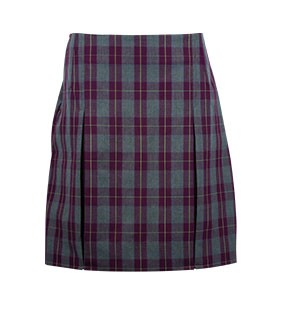 Skirt Formal Check