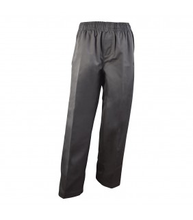 Trousers Formal Grey Boys