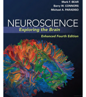 ebook Neuroscience: Exploring the Brain, Enhanced Edition