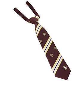 Senior Girls Tie