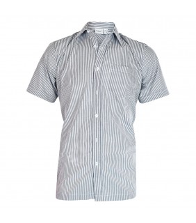 Shirt Formal Boys (T)