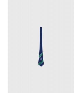 Tie Standard Yr 11-12