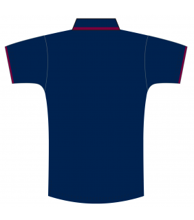 Male Match Polo
